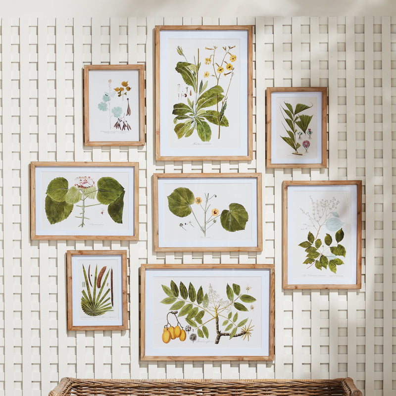 Design Shop Flora And Fauna Gallery Prints, Set Of 8