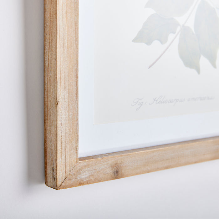 Design Shop Flora And Fauna Gallery Prints, Set Of 8