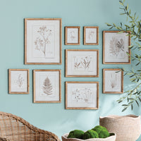 Design Shop Botanical Study In Sepia, Set Of 9