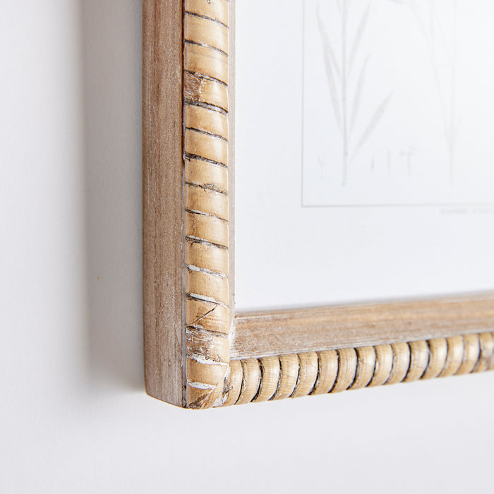 Design Shop Botanical Study In Sepia, Set Of 9