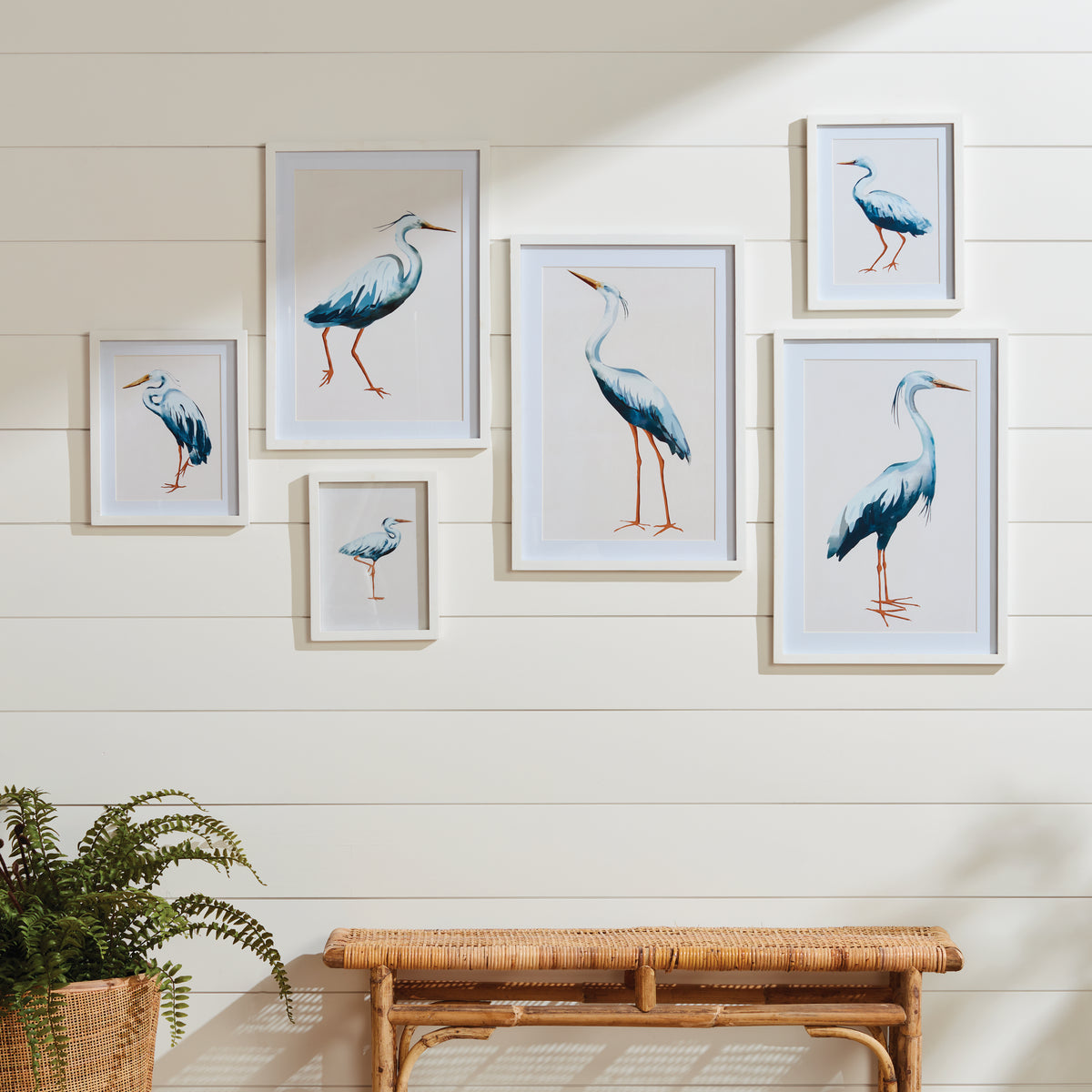 Design Shop Blue Heron Gallery Prints, Set Of 6