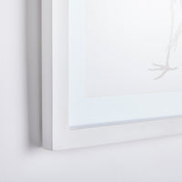 Design Shop Blue Heron Gallery Prints, Set Of 6