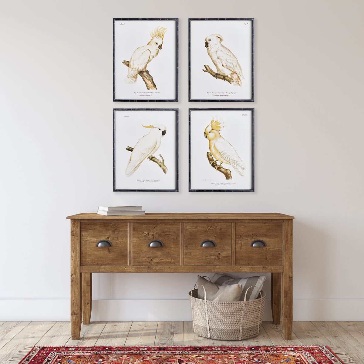 Design Shop Parrot Study In White, Set Of 4