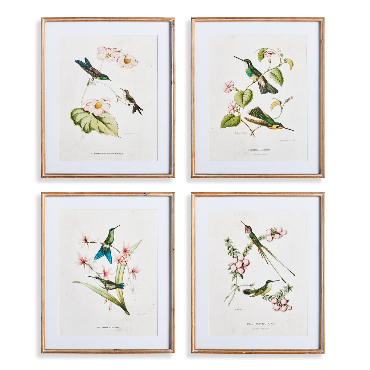 Design Shop Hummingbirds With Blush Blooms, Set Of 4
