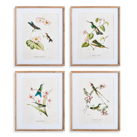Design Shop Hummingbirds With Blush Blooms, Set Of 4
