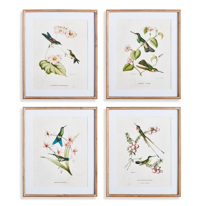 Design Shop Hummingbirds With Blush Blooms, Set Of 4