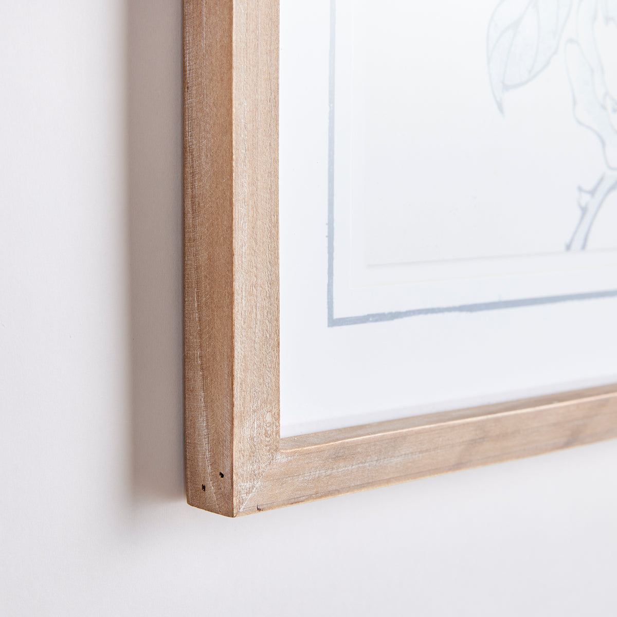 Design Shop Monochromatic Bird Study, Set Of 4