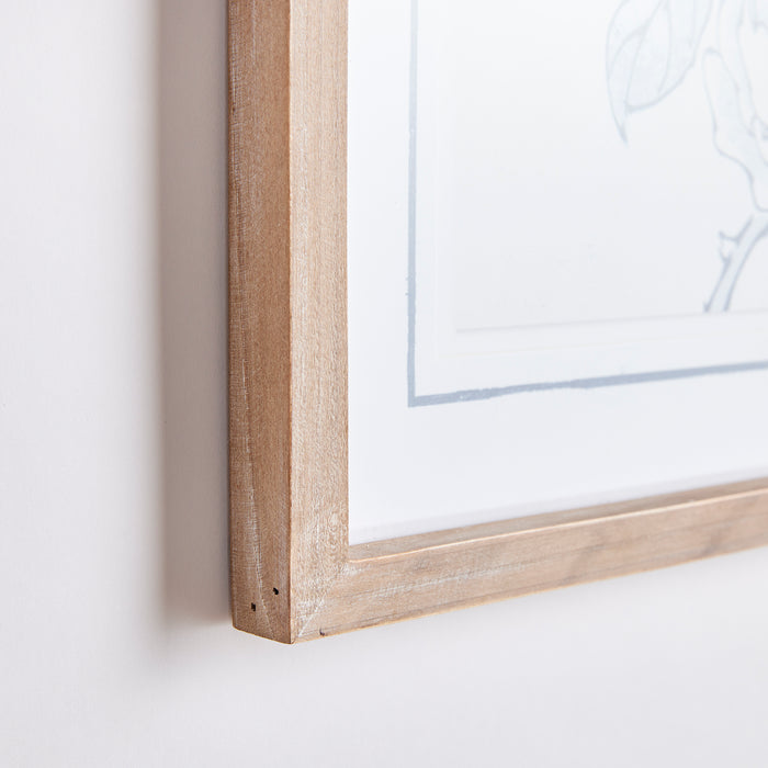 Design Shop Monochromatic Bird Study, Set Of 4