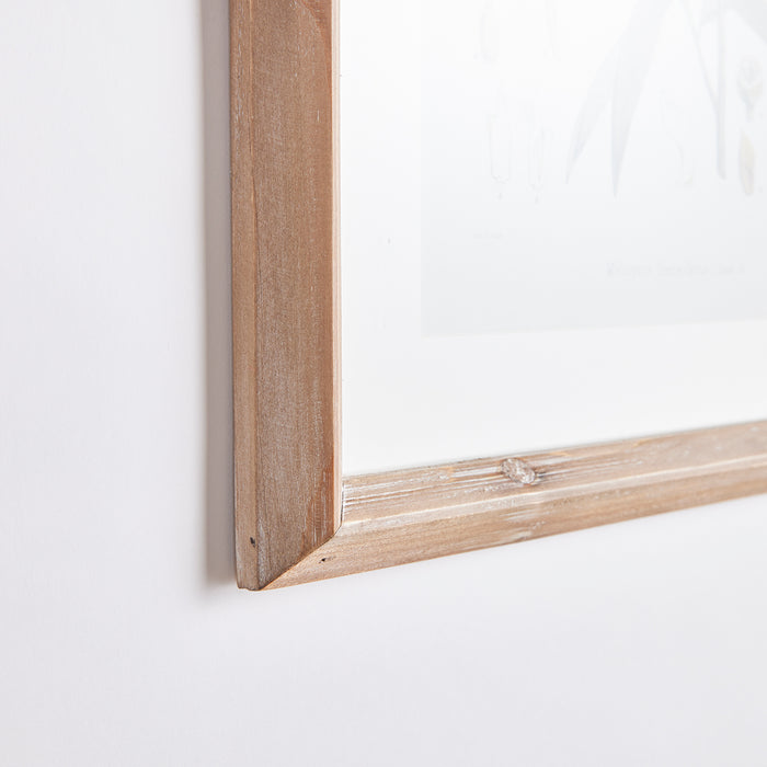 Design Shop Classic Flower And Leaf Study, Set Of 6