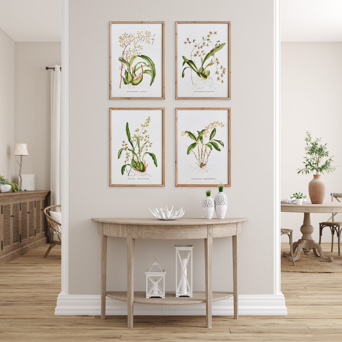 Design Shop Orchid Assortment Study, Set Of 4