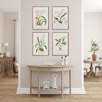 Design Shop Orchid Assortment Study, Set Of 4