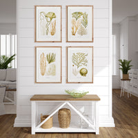 Design Shop Verdant Coral Study, Set Of 4