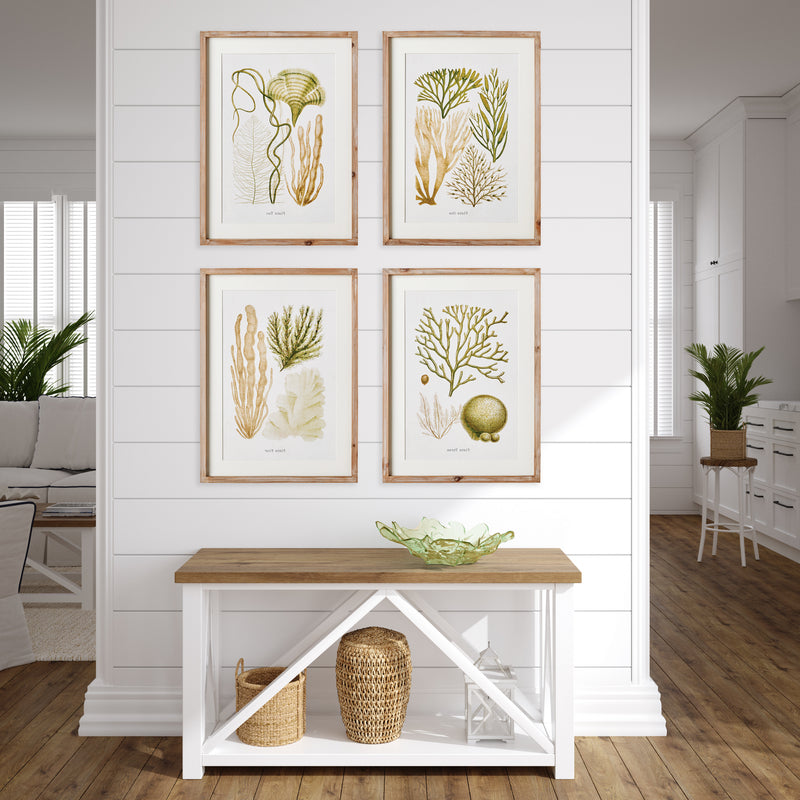 Design Shop Verdant Coral Study, Set Of 4