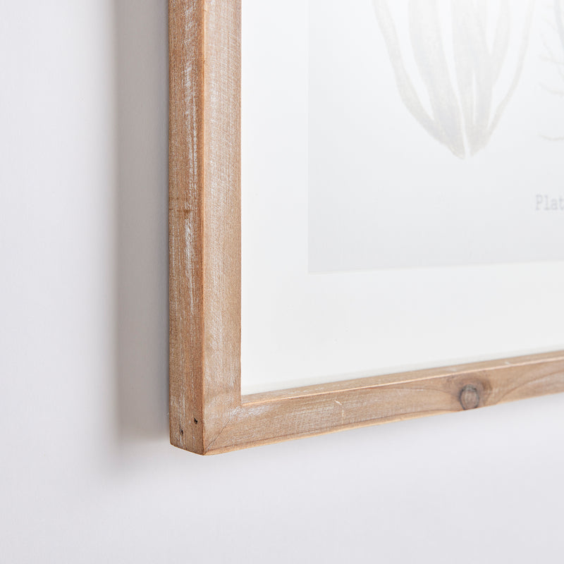 Design Shop Verdant Coral Study, Set Of 4