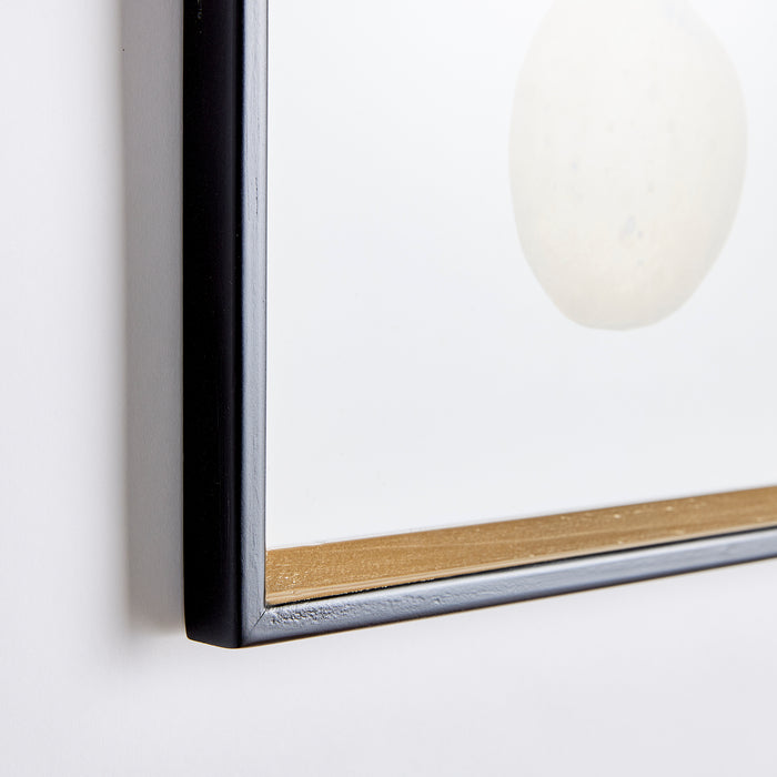 Design Shop Assorted Fruits Study, Set Of 9