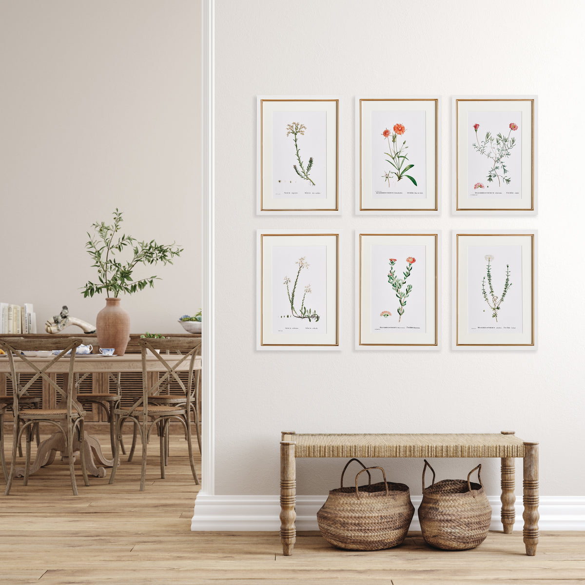 Design Shop Flower Studies In Shades Of Blush, Set Of 6