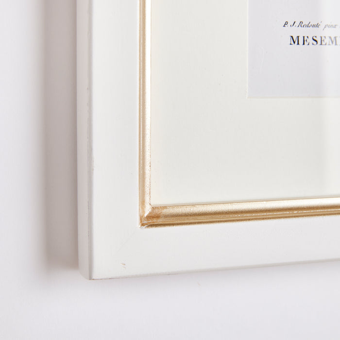 Design Shop Flower Studies In Shades Of Blush, Set Of 6