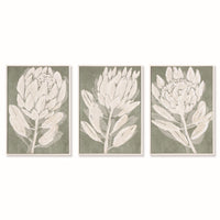 Design Shop Protea Triptych Hand-Embellished Giclees, Set Of 3