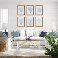 Design Shop Sea Fan And Coral Study In Blue, Set Of 6