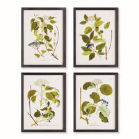 Design Shop Floral And Berry Study, Set Of 4