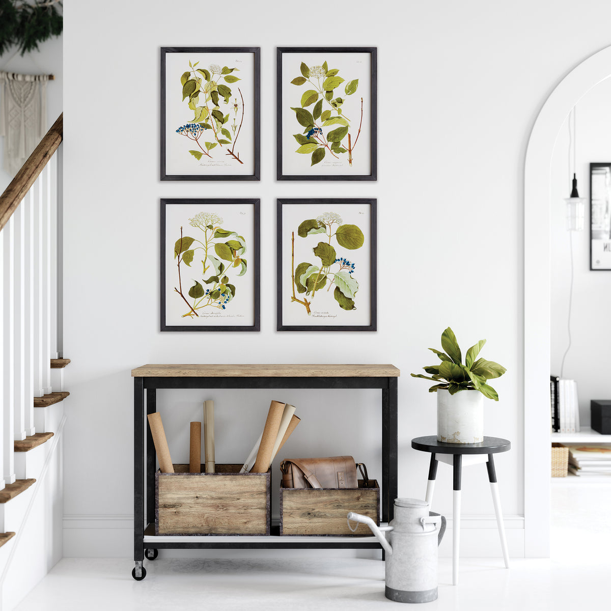 Design Shop Floral And Berry Study, Set Of 4