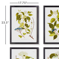 Design Shop Floral And Berry Study, Set Of 4