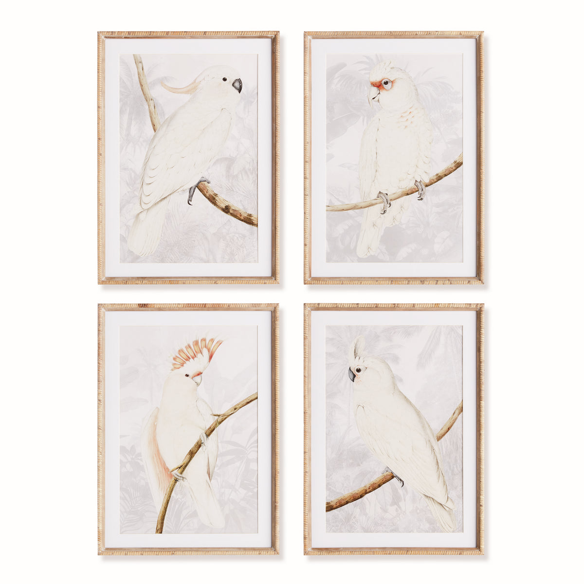 Design Shop White Cockatoo Prints, Set Of 4