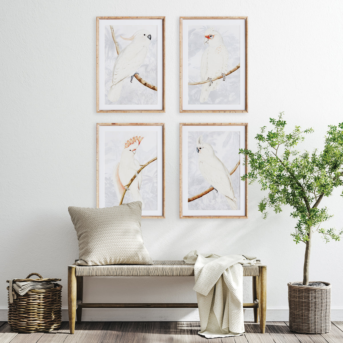 Design Shop White Cockatoo Prints, Set Of 4
