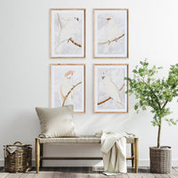 Design Shop White Cockatoo Prints, Set Of 4