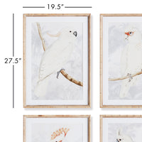 Design Shop White Cockatoo Prints, Set Of 4