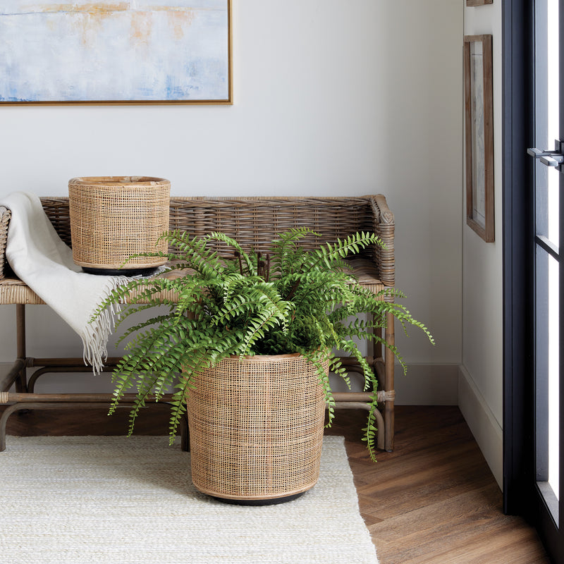 Design Shop Lyla Dry Basket Planters, Set Of 2