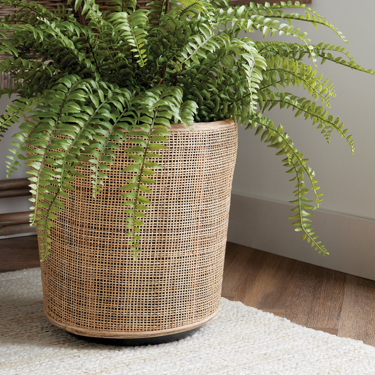 Design Shop Lyla Dry Basket Planters, Set Of 2
