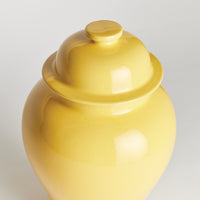 Design Shop Koa Lidded Ginger Jar Small