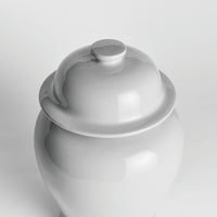 Design Shop Koa Wide Lidded Ginger Jar Large