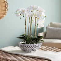 Design Shop Serena Decorative Bowl