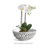 Design Shop Serena Decorative Bowl