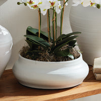Design Shop Mirela Decorative Bowl