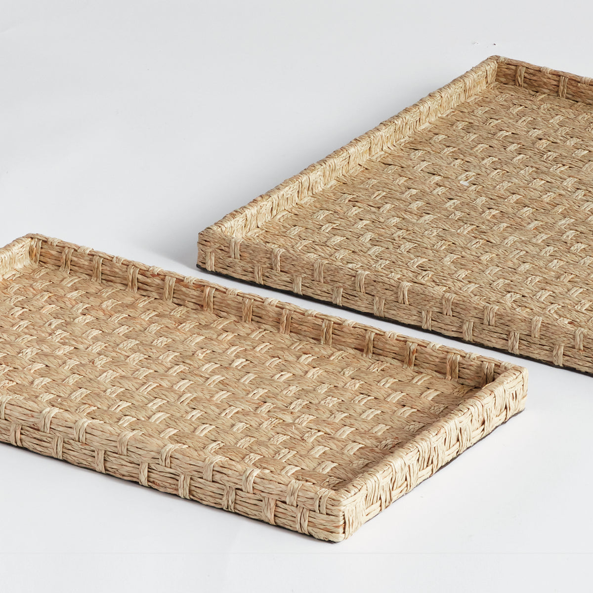 Design Shop Wynn Trays Large, Set Of 2