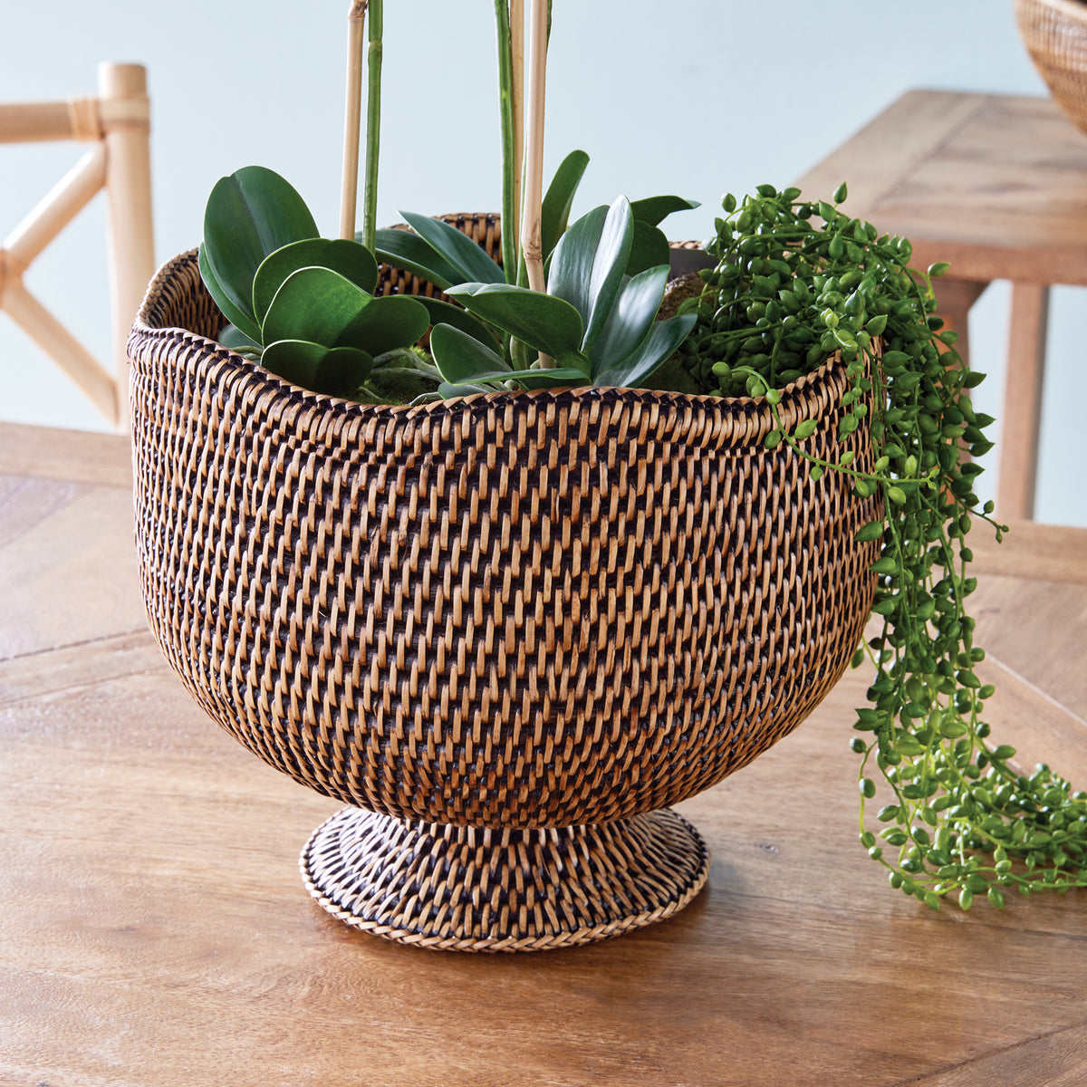 Design Shop Burma Rattan  Footed Cachepot
