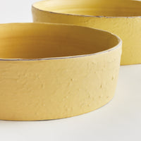 Design Shop Studio Decorative Low Bowls, Set Of 2