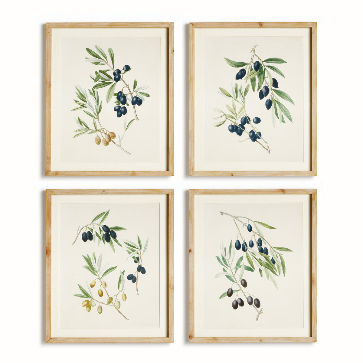 Design Shop Olive Stems Study, Set Of 4