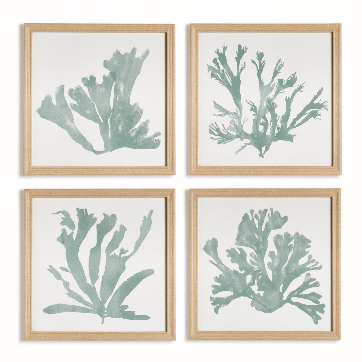 Design Shop Coral Silhouettes In Soft Green, Set Of 4
