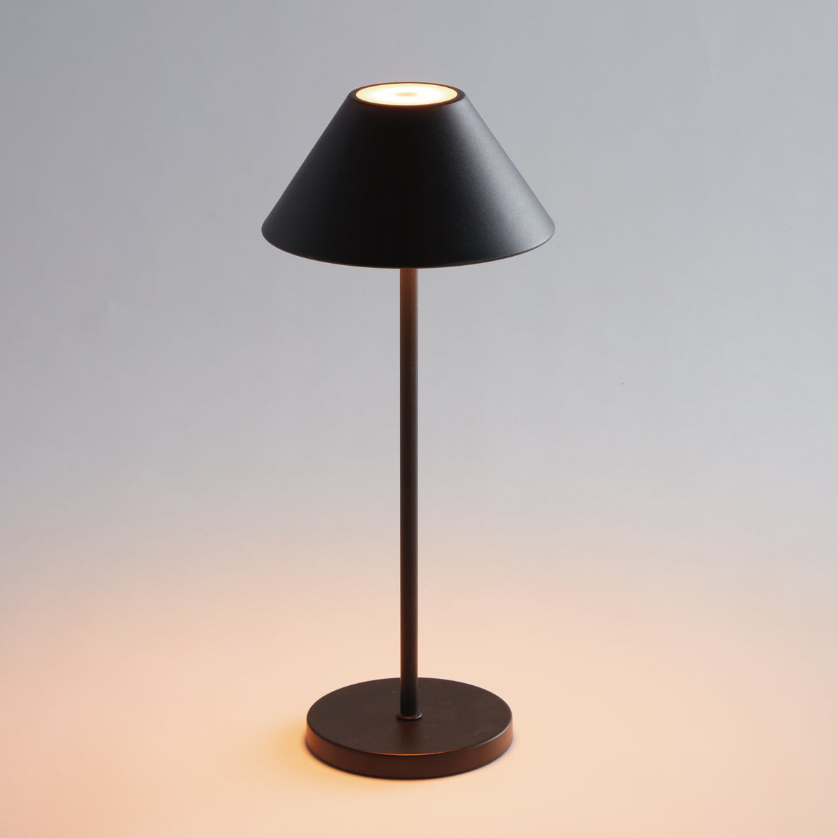 Design Shop Alluna Cordless Led Lamp 14"