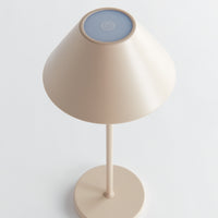 Design Shop Alluna Cordless Led Lamp 14"