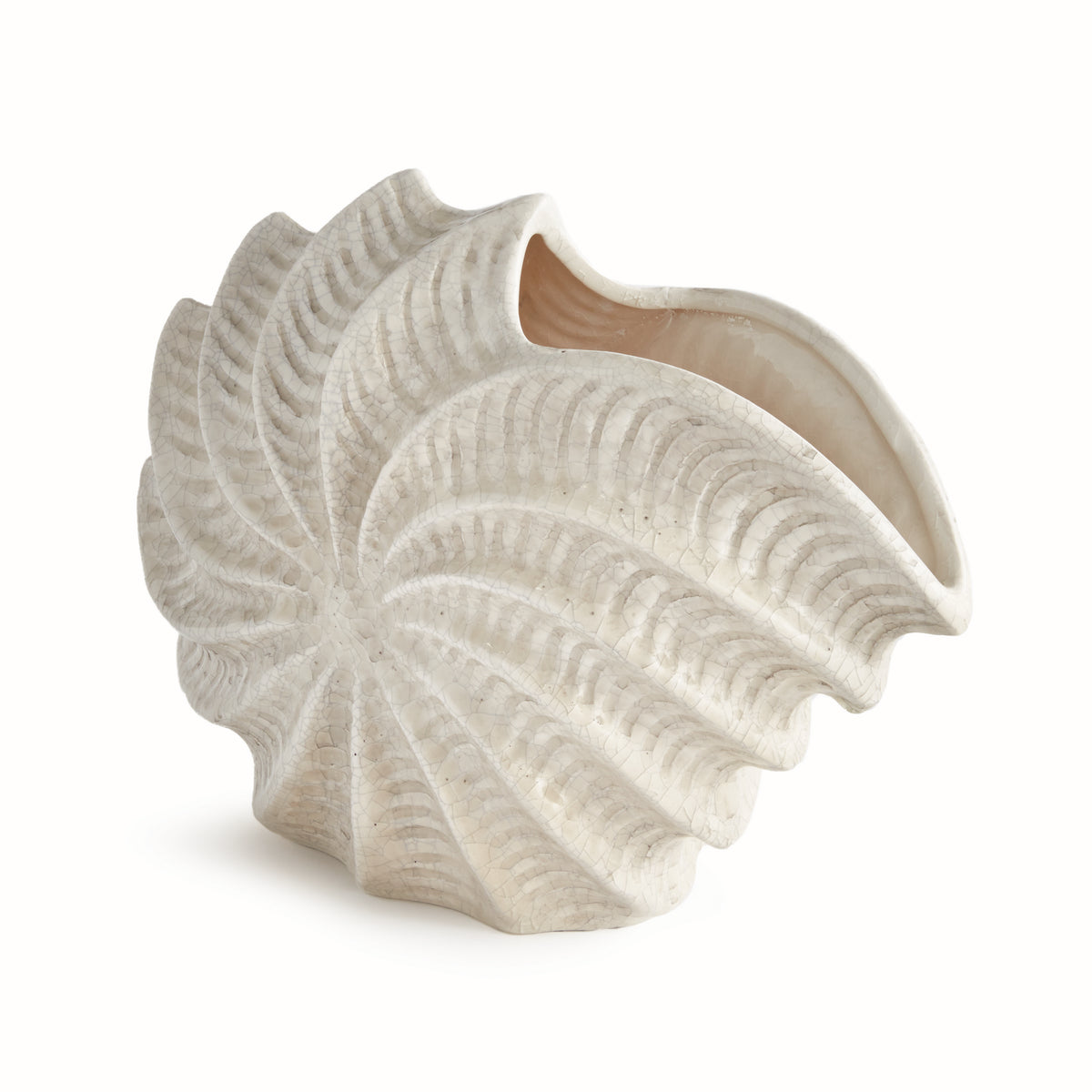 Design Shop Nautilus Shell Vase