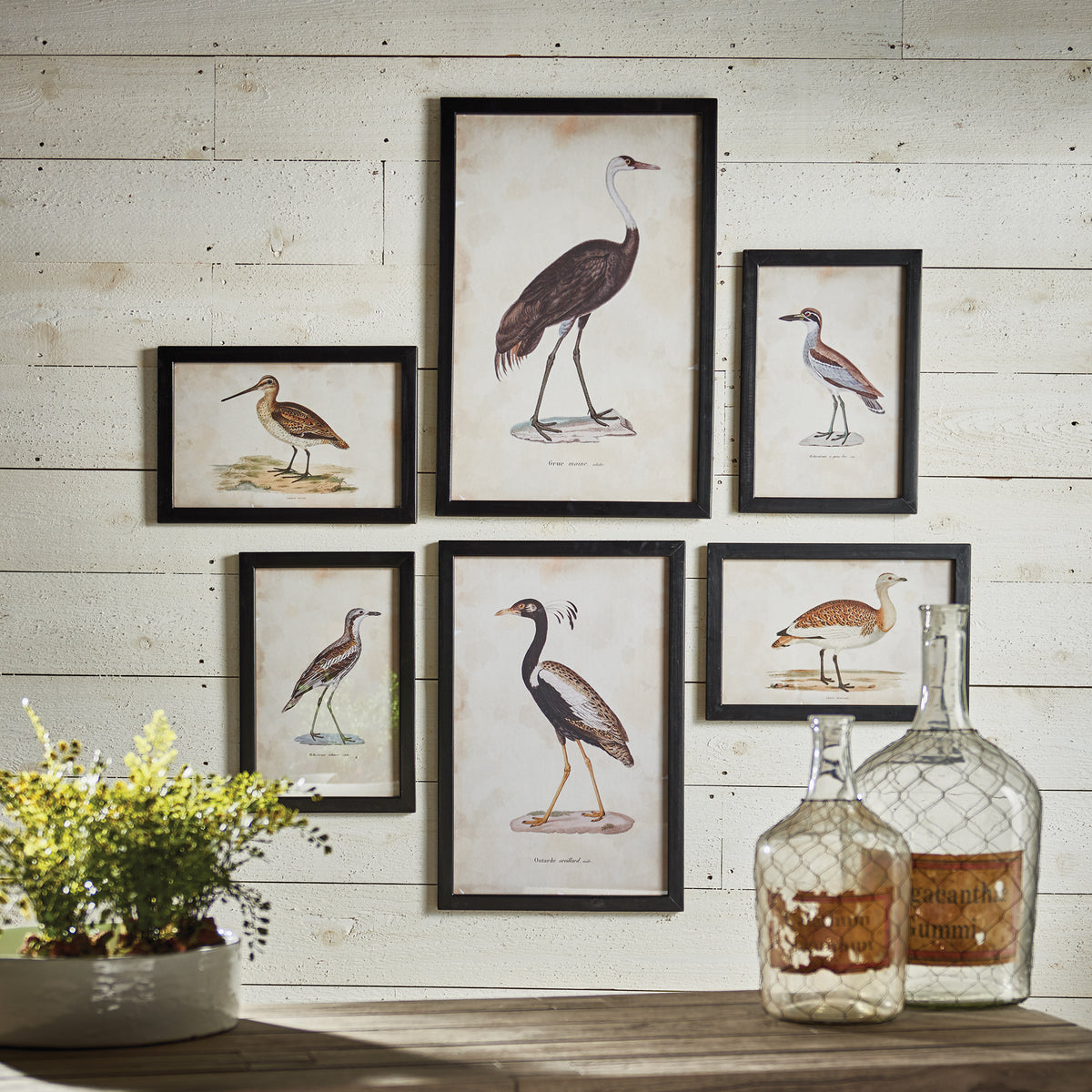 Design Shop Waterfowl Gallery, Set Of 6