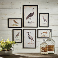 Design Shop Waterfowl Gallery, Set Of 6