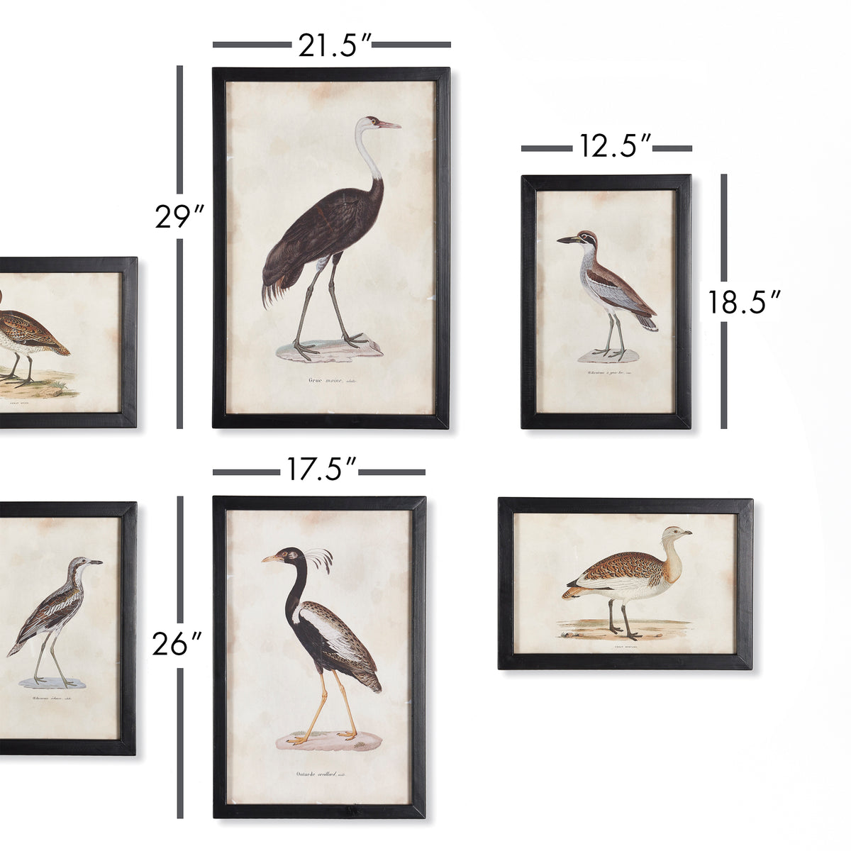 Design Shop Waterfowl Gallery, Set Of 6