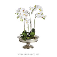 Design Shop Emsworth Pedestal Medium