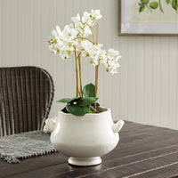 Design Shop Wellon Footed Cachepot Small